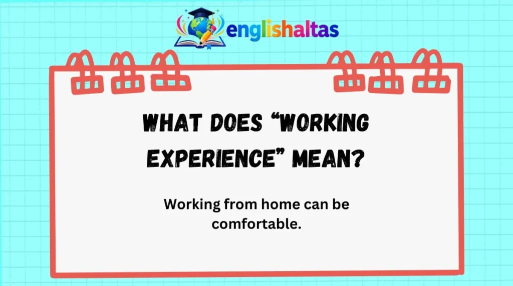 What Does “Working Experience” Mean?