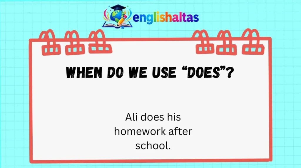 When do we use “does”?