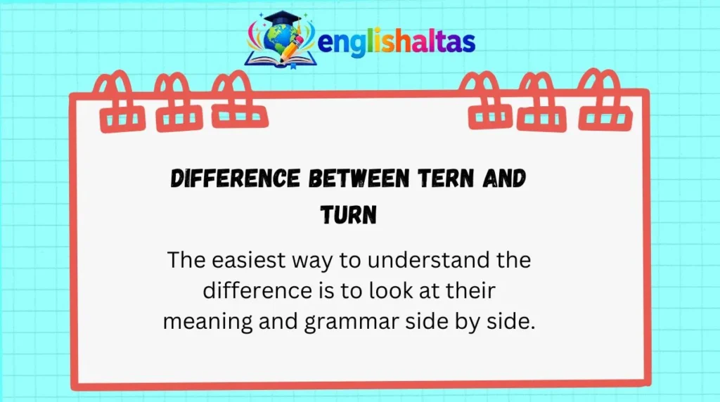 Difference Between Tern and Turn