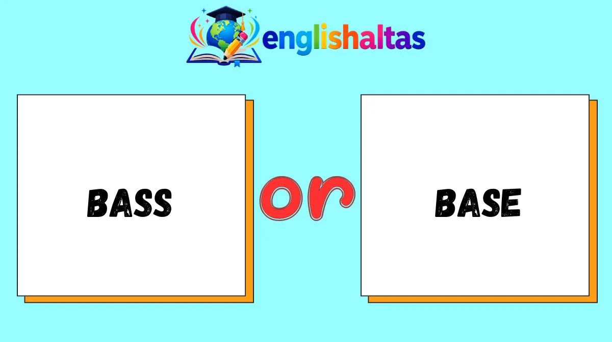 Bass or Base