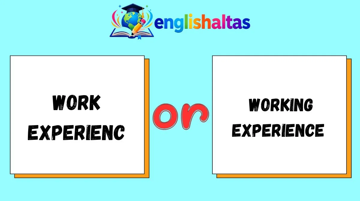 Work Experience or Working Experience