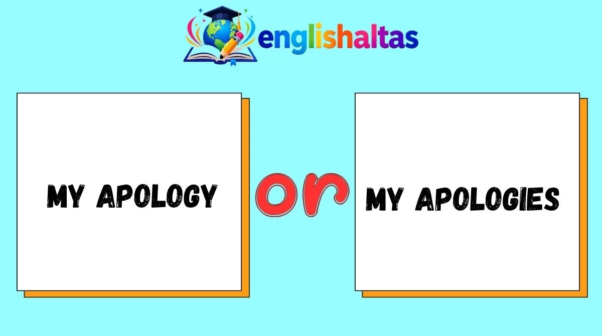 My Apology or My Apologies
